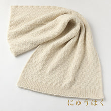Load image into Gallery viewer, Baby Alpaca Color Block Scarf