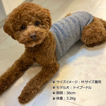 Load image into Gallery viewer, Silk Mélange Long Belly Warmer for Small &amp; Toy Dogs (S/M)
